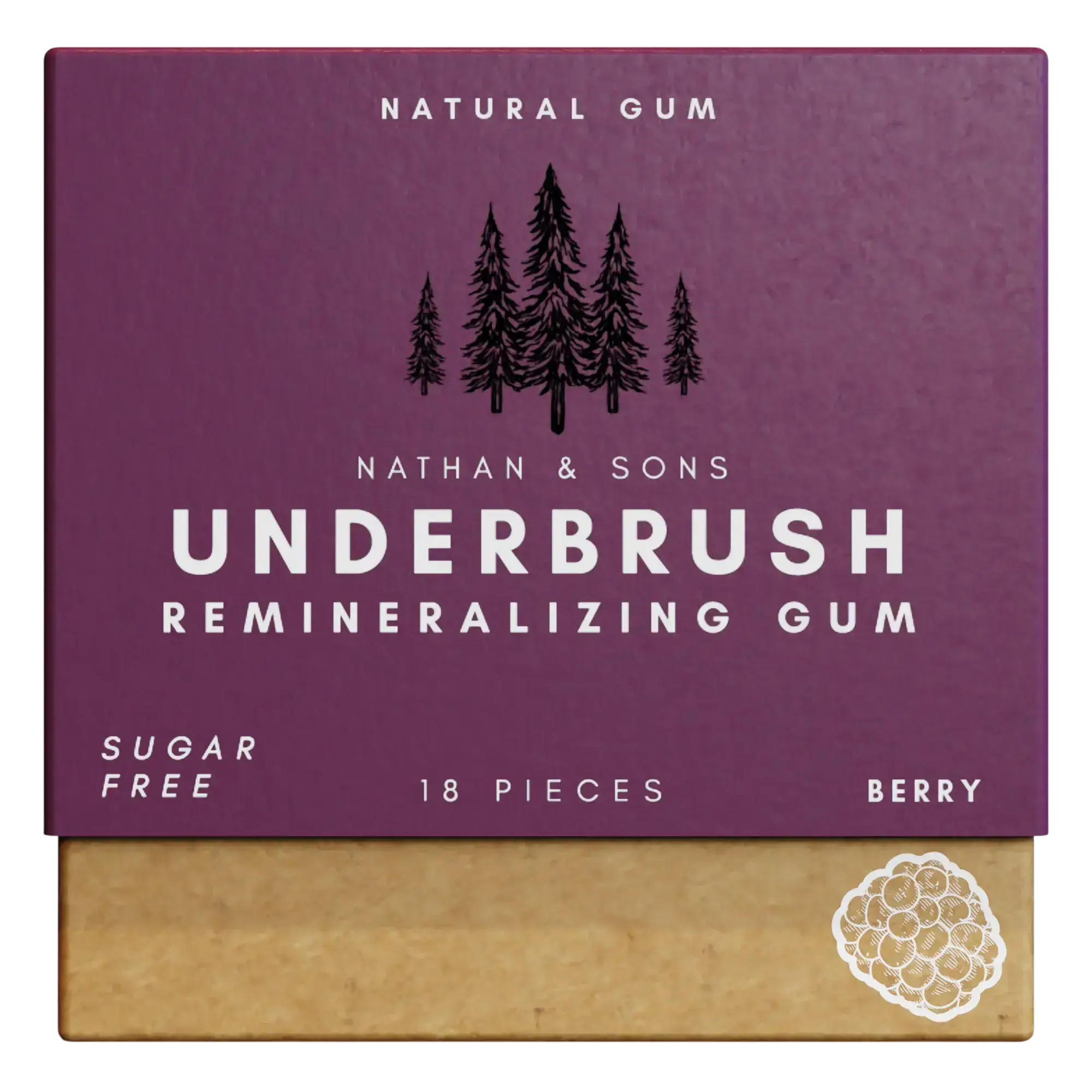 Remineralizing Gum - Image 25